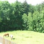 Jaegerheim 2* Krumbach (Vorarlberg)