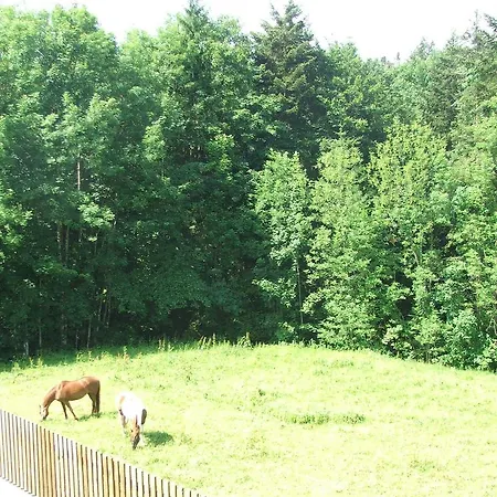 Jägerheim 2* Krumbach (Vorarlberg)