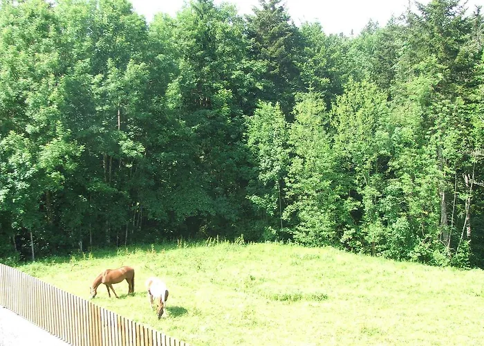 Jaegerheim 2* Krumbach (Vorarlberg)