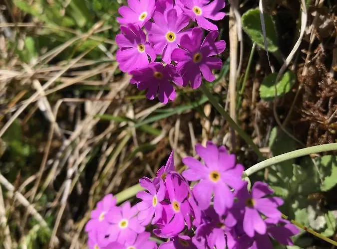 Jaegerheim Krumbach (Vorarlberg)
